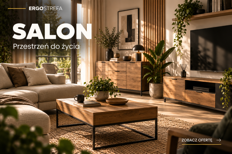 Meble do salonu – ERGOSTREFA